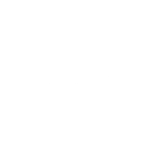 PLACE BEYOND